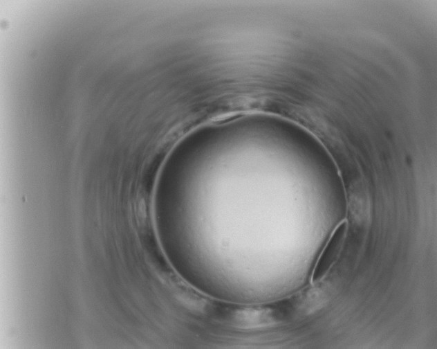 X0000073760375200608102052