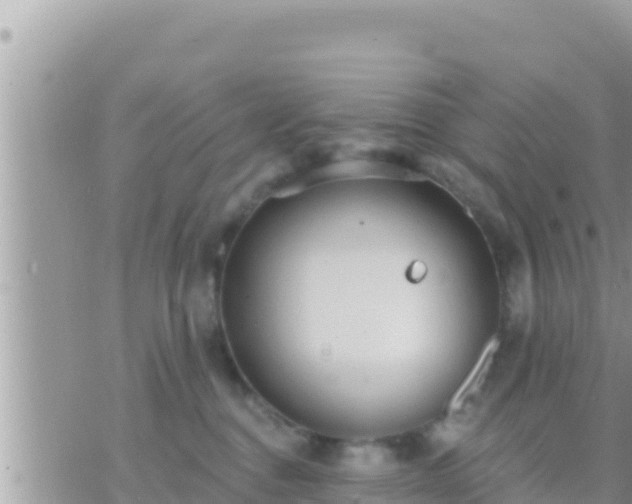 X0000073760376200608102052