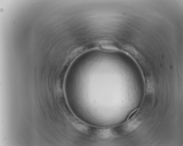 X0000073760377200608102052