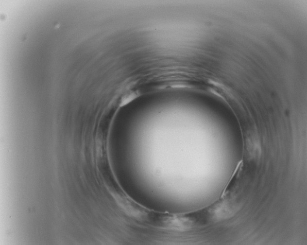 X0000073760379200608102052