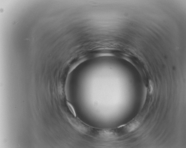 X0000073760380200608102052