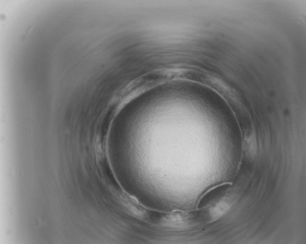 X0000073760381200608102052