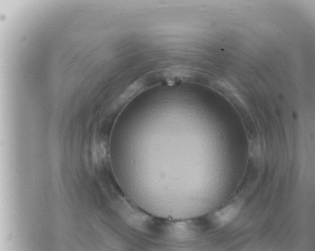 X0000073760382200608102052