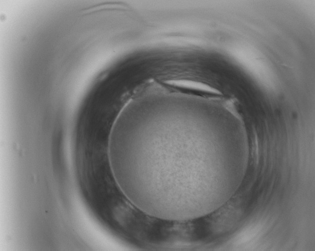 X0000073760383200608102052