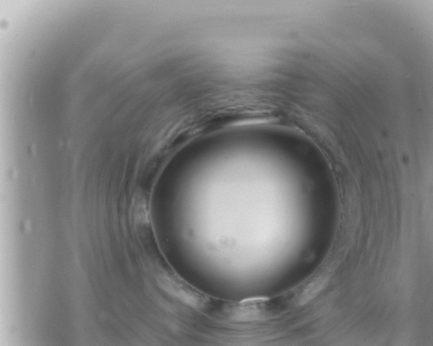 X0000073760384200608102052