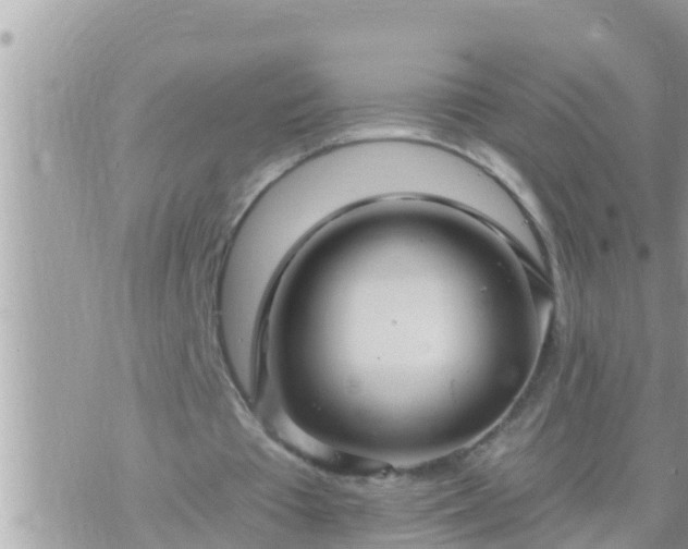 X0000073760385200608102051