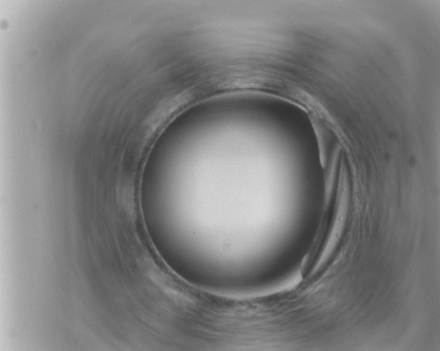 X0000073760386200608102051