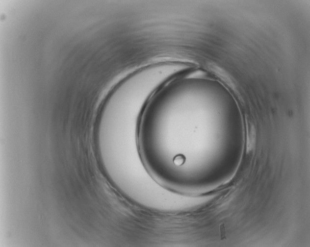 X0000073760387200608102051