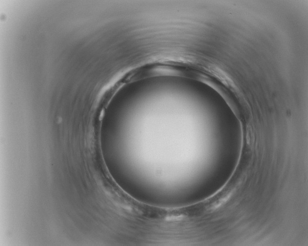 X0000073760388200608102051