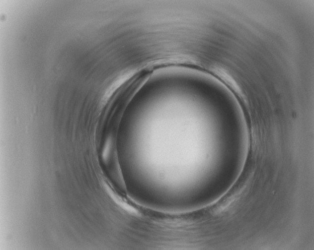 X0000073760389200608102051