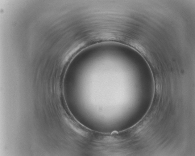 X0000073760390200608102051