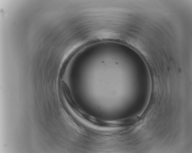 X0000073760391200608102051