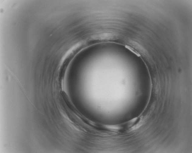 X0000073760392200608102051