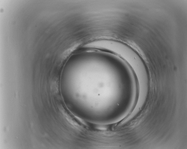 X0000073760393200608102051