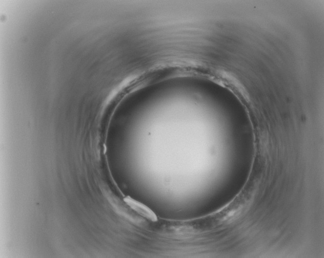 X0000073760395200608102051