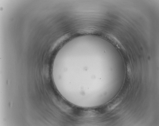 X0000073760396200608102051