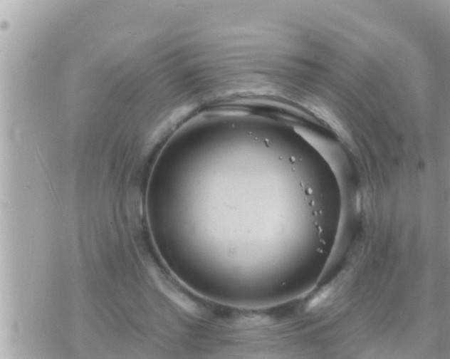 X0000073760397200608102051