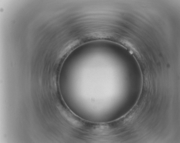 X0000073760398200608102051