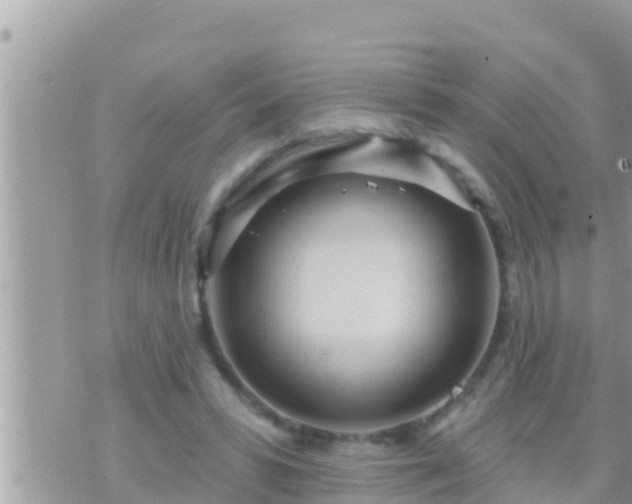 X0000073760399200608102051