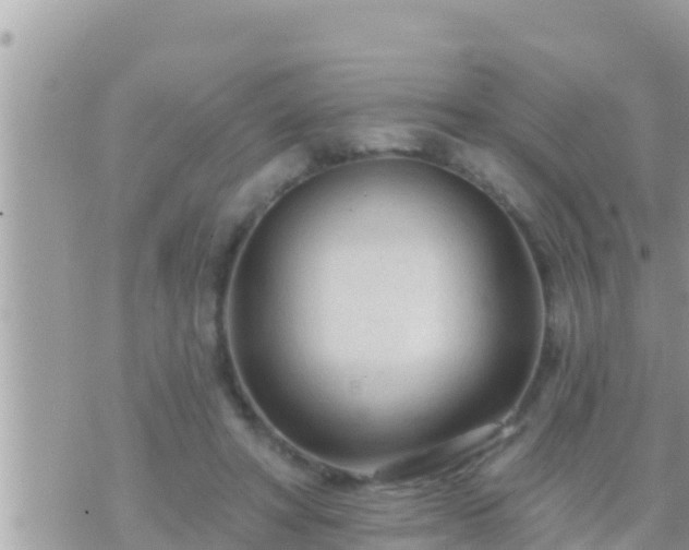 X0000073760402200608102051