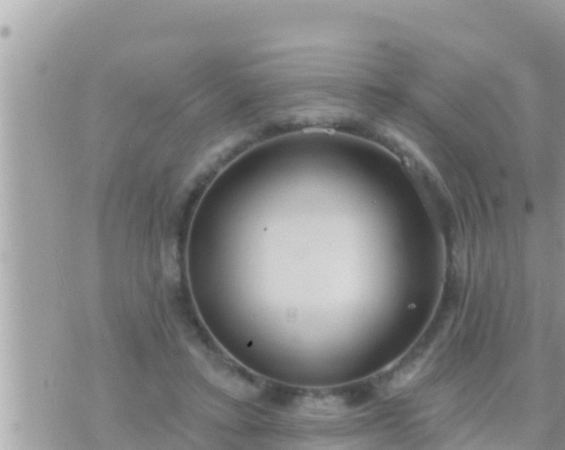 X0000073760403200608102051