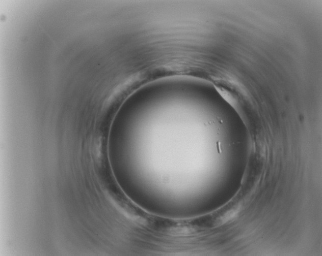 X0000073760404200608102051