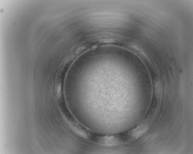 X0000073760406200608102051