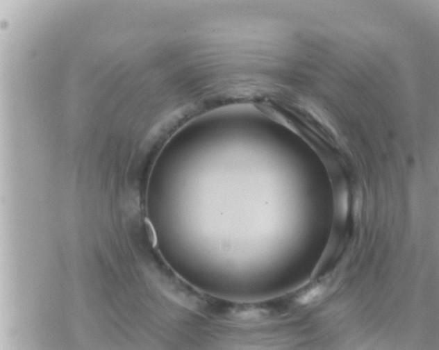 X0000073760407200608102051