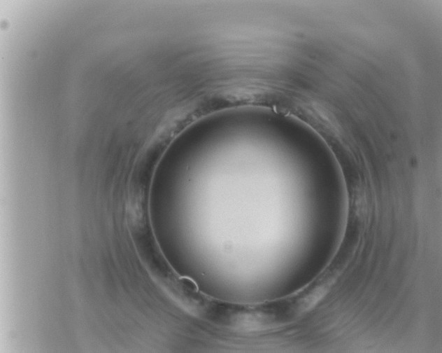 X0000073760408200608102050