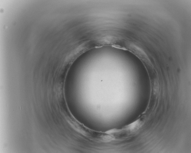 X0000073760409200608102050