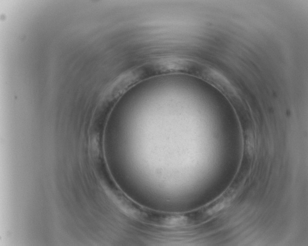 X0000073760410200608102050