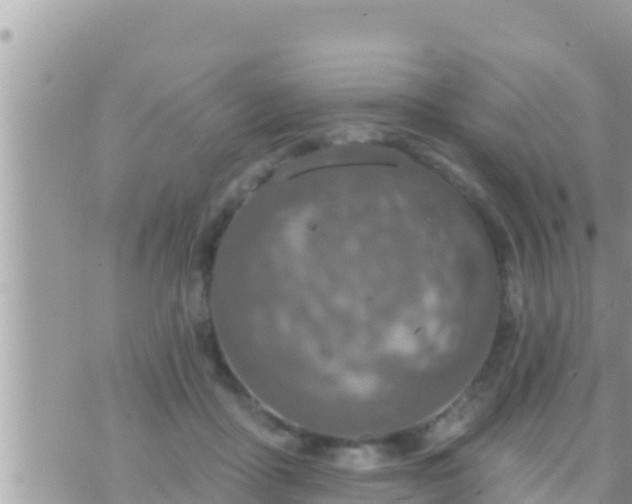 X0000073760411200608102050