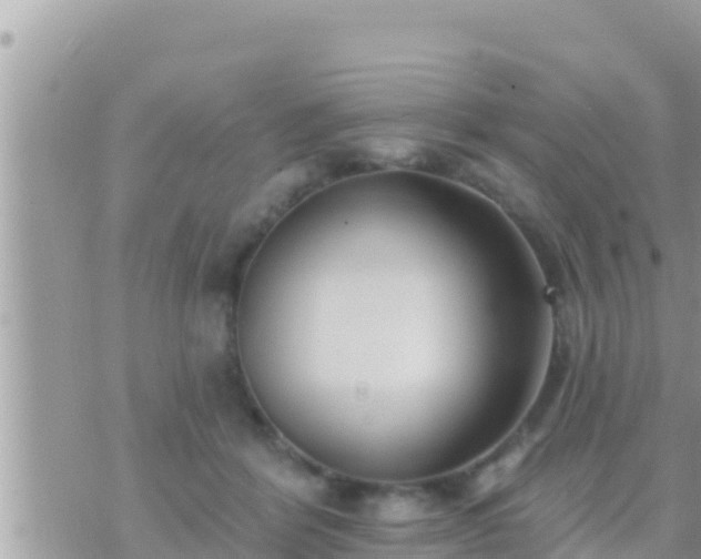 X0000073760412200608102050