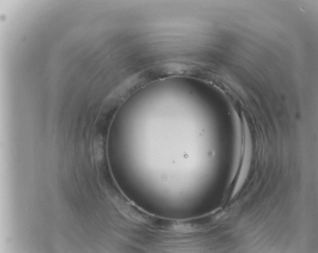 X0000073760413200608102050