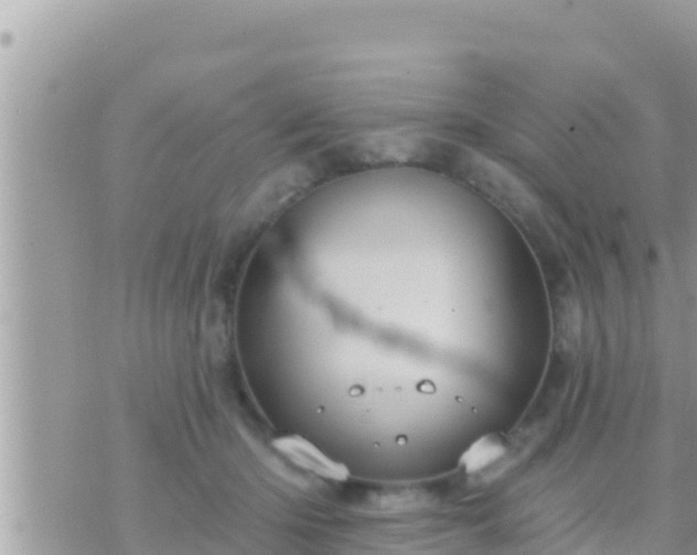 X0000073760414200608102050