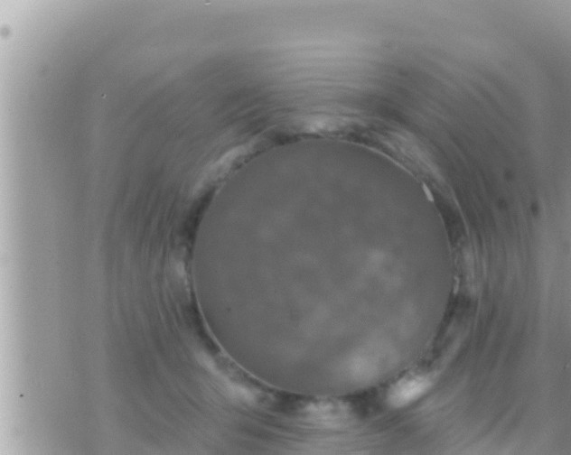 X0000073760415200608102050