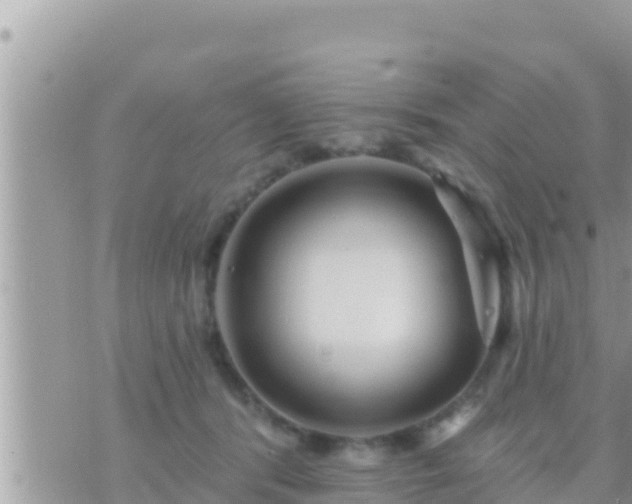 X0000073760416200608102050