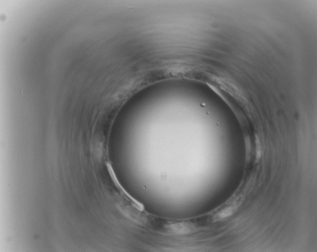 X0000073760417200608102050