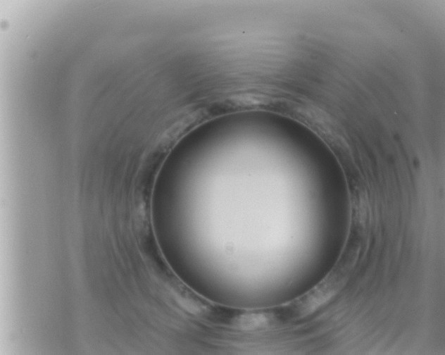 X0000073760418200608102050