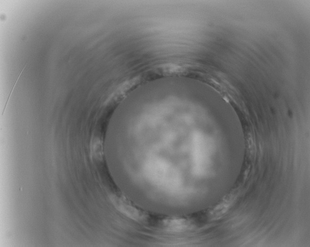 X0000073760419200608102050