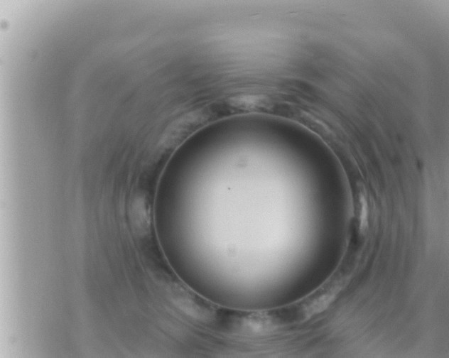 X0000073760420200608102050