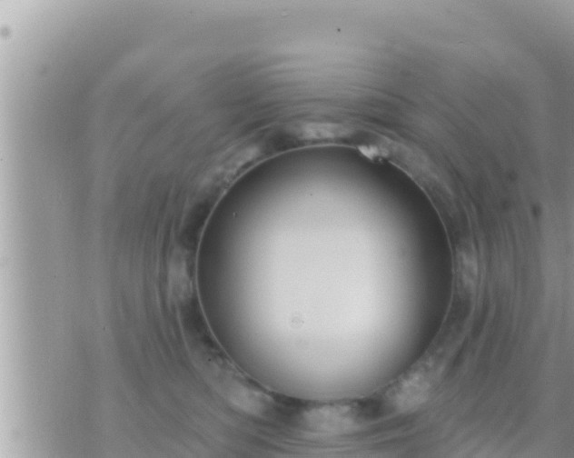 X0000073760422200608102050