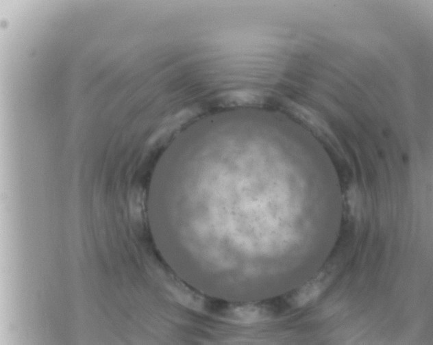 X0000073760423200608102050