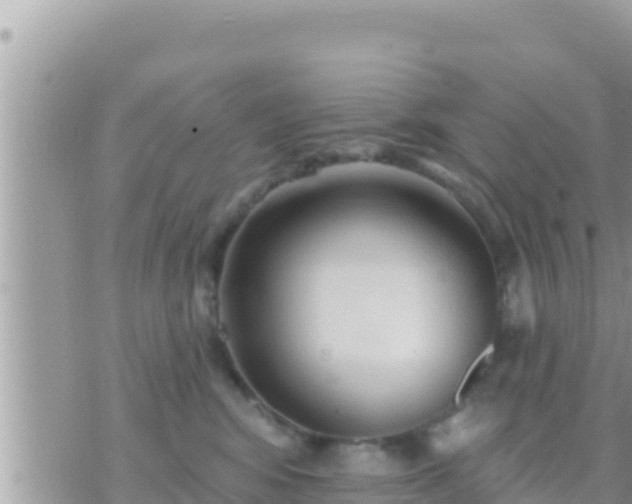 X0000073760424200608102050