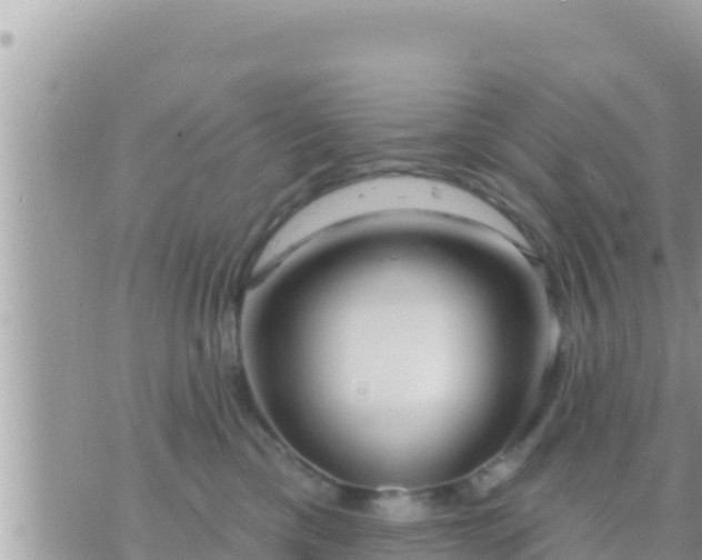 X0000073760425200608102050