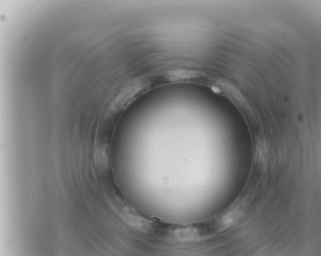 X0000073760426200608102050