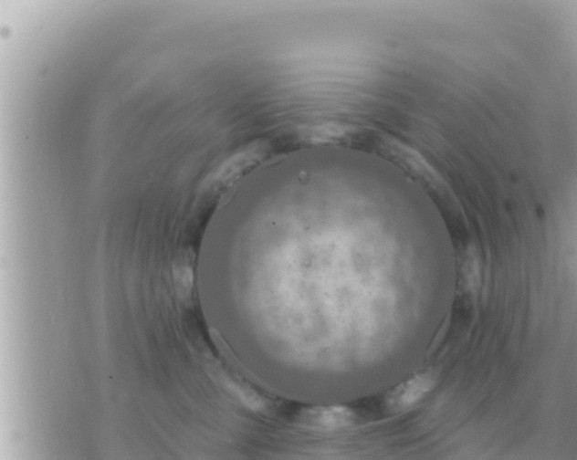 X0000073760427200608102050