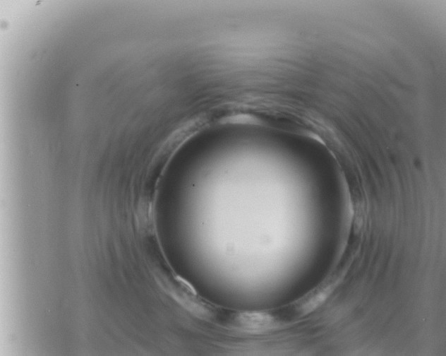 X0000073760429200608102050