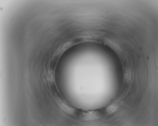 X0000073760430200608102050