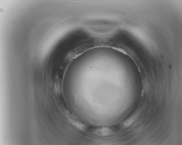 X0000073760431200608102050